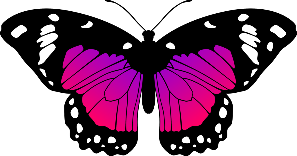 Butterfly By Eiluvision - Pink And Purple Butterfly (1024x537), Png Download