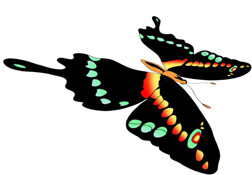 Free Butterflies Drawing Png - Black Swallowtail (866x654), Png Download