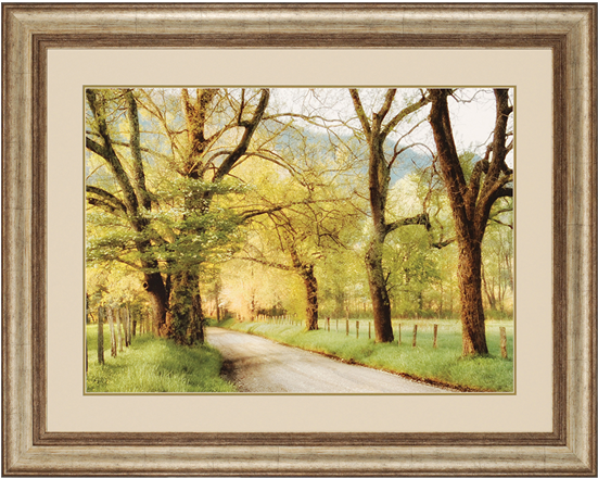 Warm Morning Light - Paragon Decor Inc. 1056 Warm Morning Light (550x550), Png Download