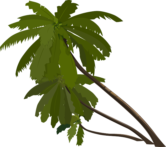 Animation Tree Png (640x568), Png Download