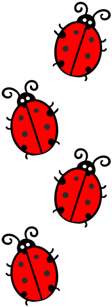 Download Hd Free Image On Pixabay Joaninha Png Transparent Png Image Nicepng Com