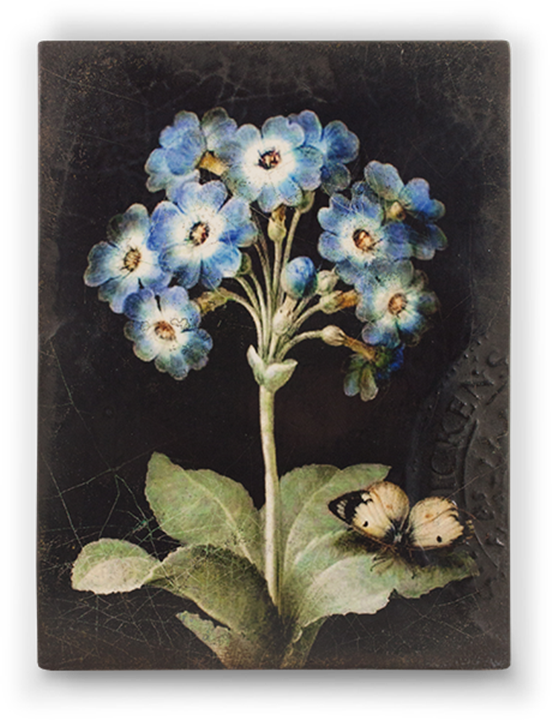 Sid Dickens Originals Handmade Memory Blocks - Primrose Sid Dickens (552x720), Png Download