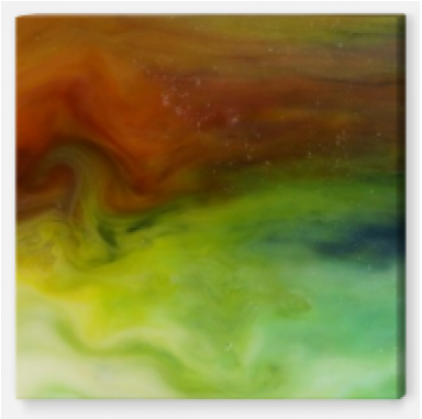 Swan - Cygnini (1140x380), Png Download