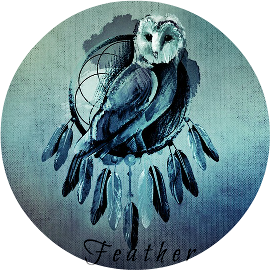 Owl On Dreamcatcher - Dreamcatcher Png (720x720), Png Download