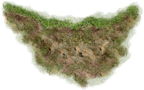 Grass And Soil Images Png - Dirt Grass Png (595x406), Png Download