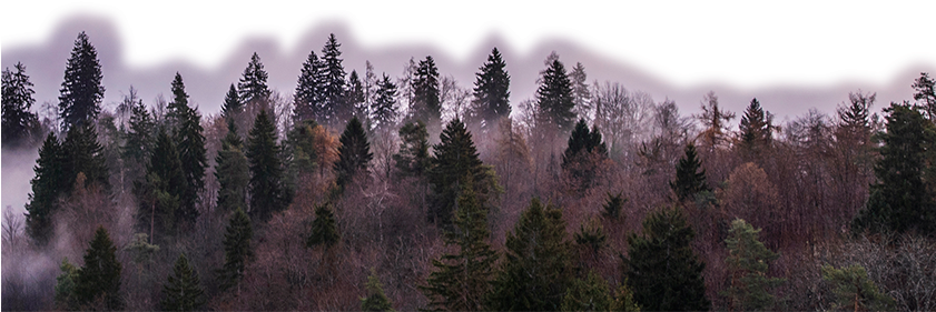 Level1-840x904 - Desktop Backgrounds (840x904), Png Download