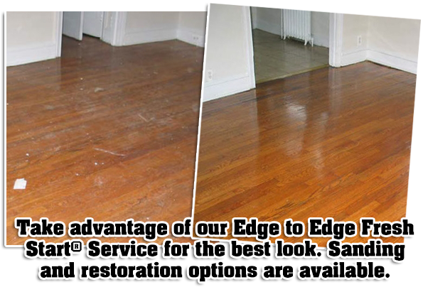 What Are Wood Floors - Reptilium Landau (600x414), Png Download