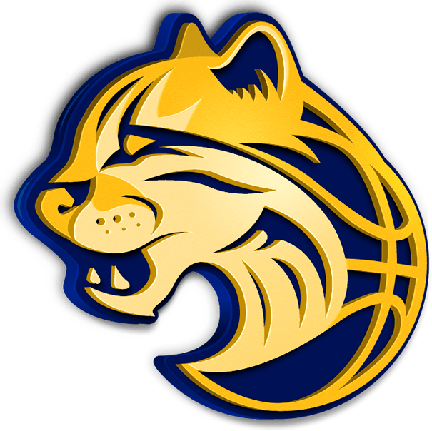 Mog Das Cruzes Basquete - Logo Mogi Basquete Png (605x604), Png Download