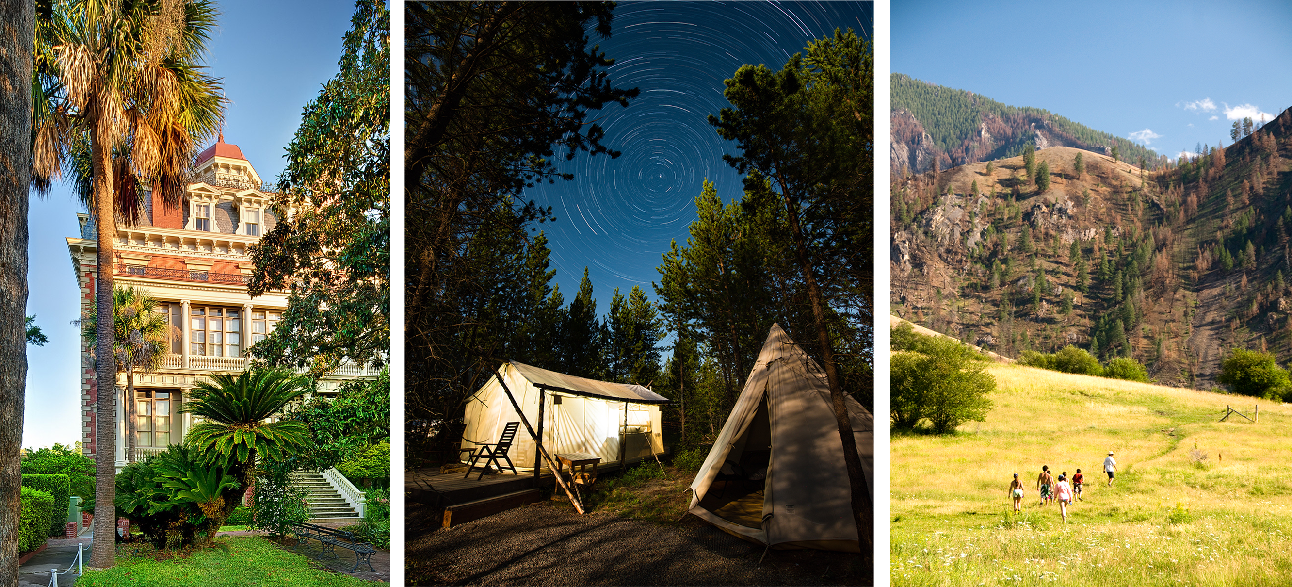 Larch (2751x1547), Png Download