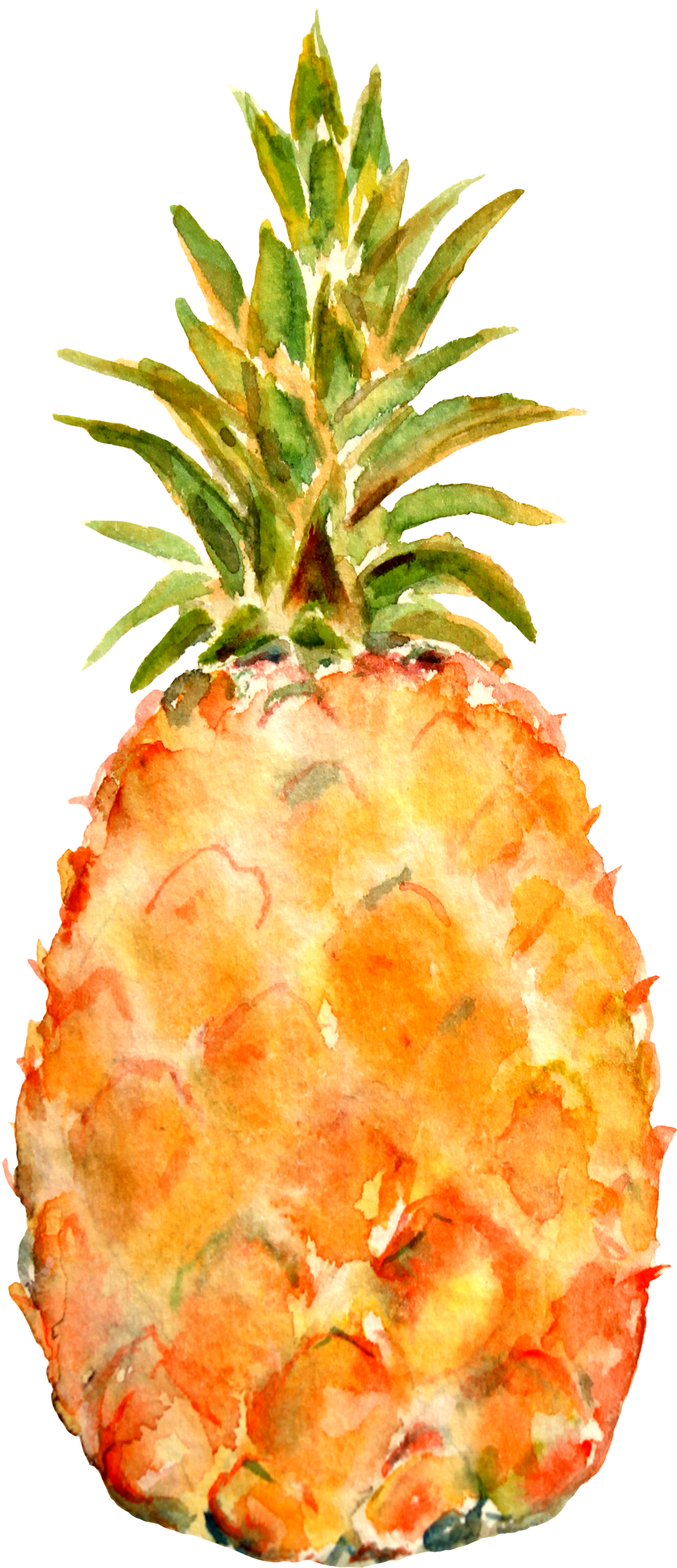 Pineapple Celery Agua Fresca (1200x2606), Png Download