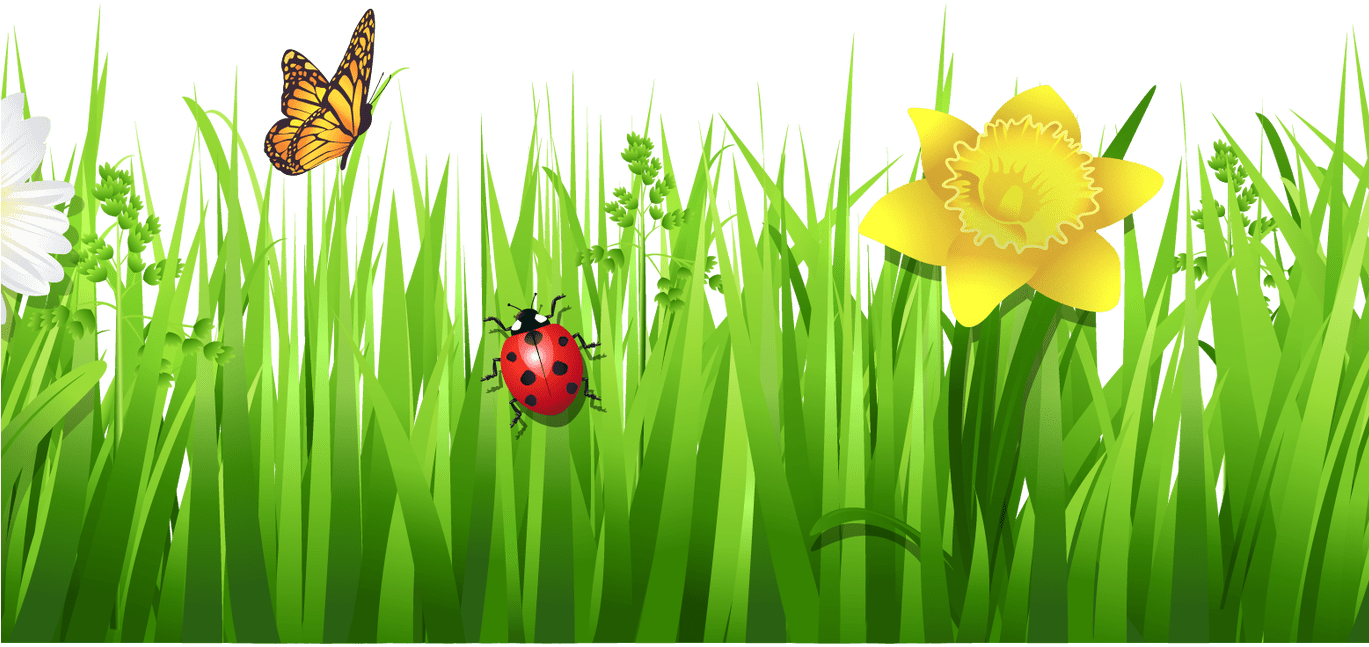 Grass Clip Art - Flowers With Grass Png Hd (1368x855), Png Download