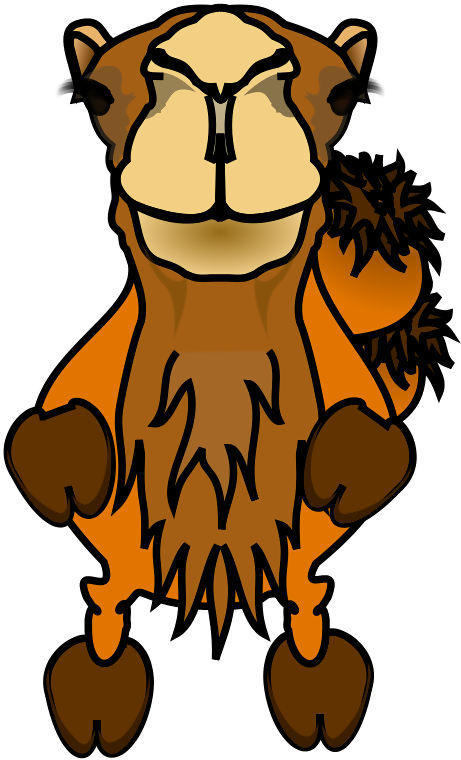 Caricature Camel - Camel Photographer Shower Curtain (498x800), Png Download
