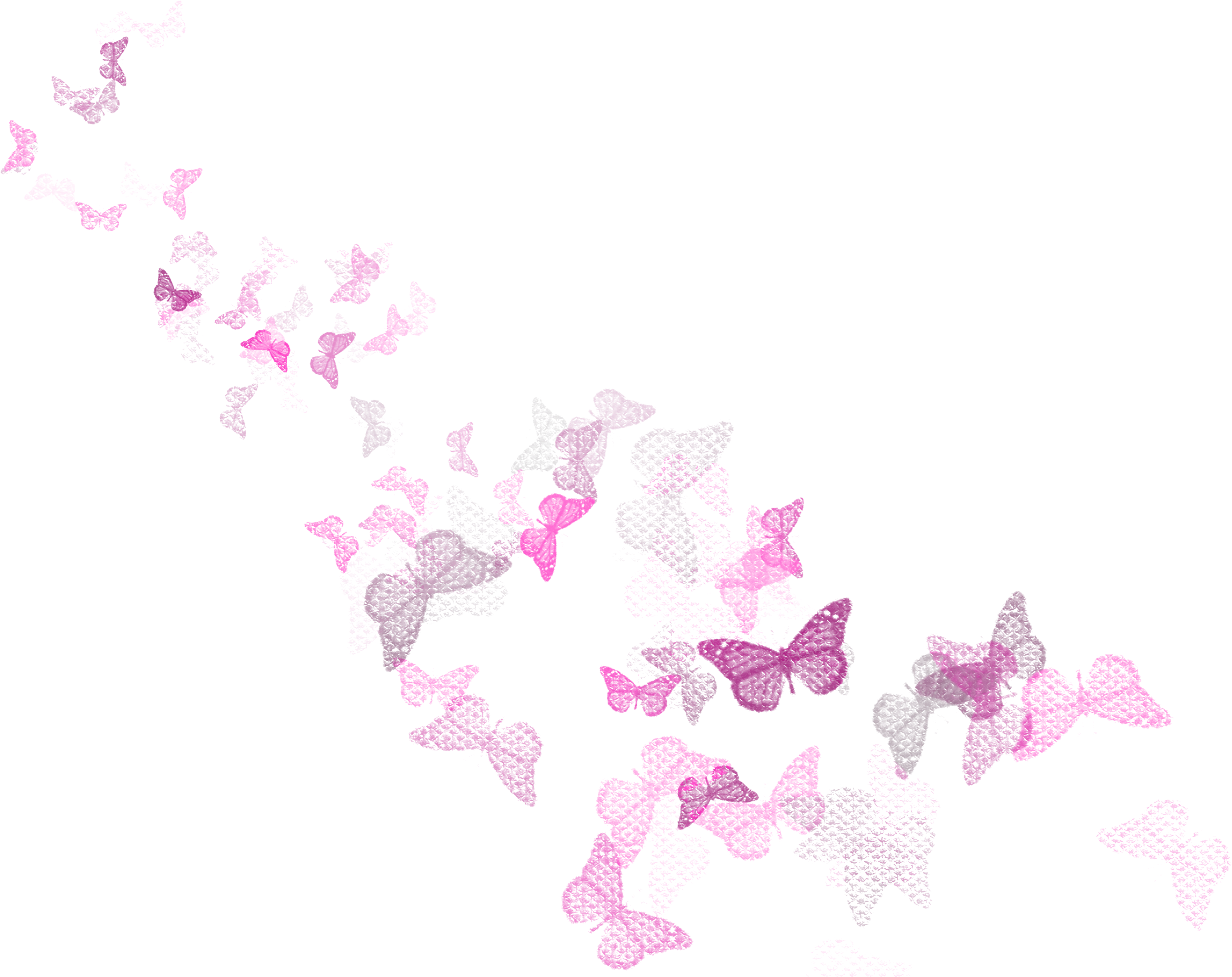 Butterflies Decoration Png Clipart Picture - Butterfly Bunch Png (2935x2332), Png Download