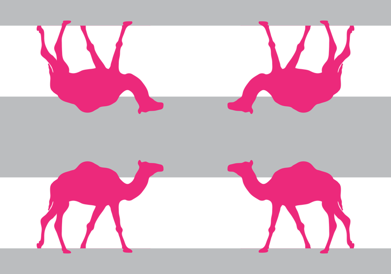 Dromedary (800x562), Png Download