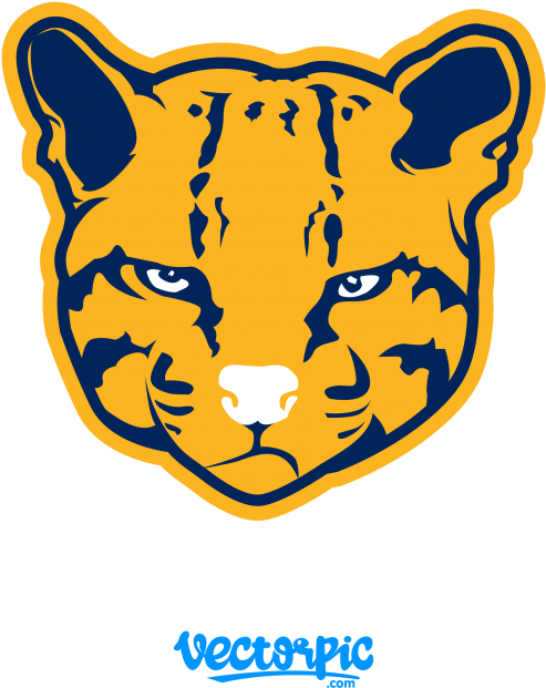 Clip Art (800x800), Png Download