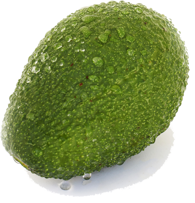 Aguacate Hass - Persian Lime (800x800), Png Download