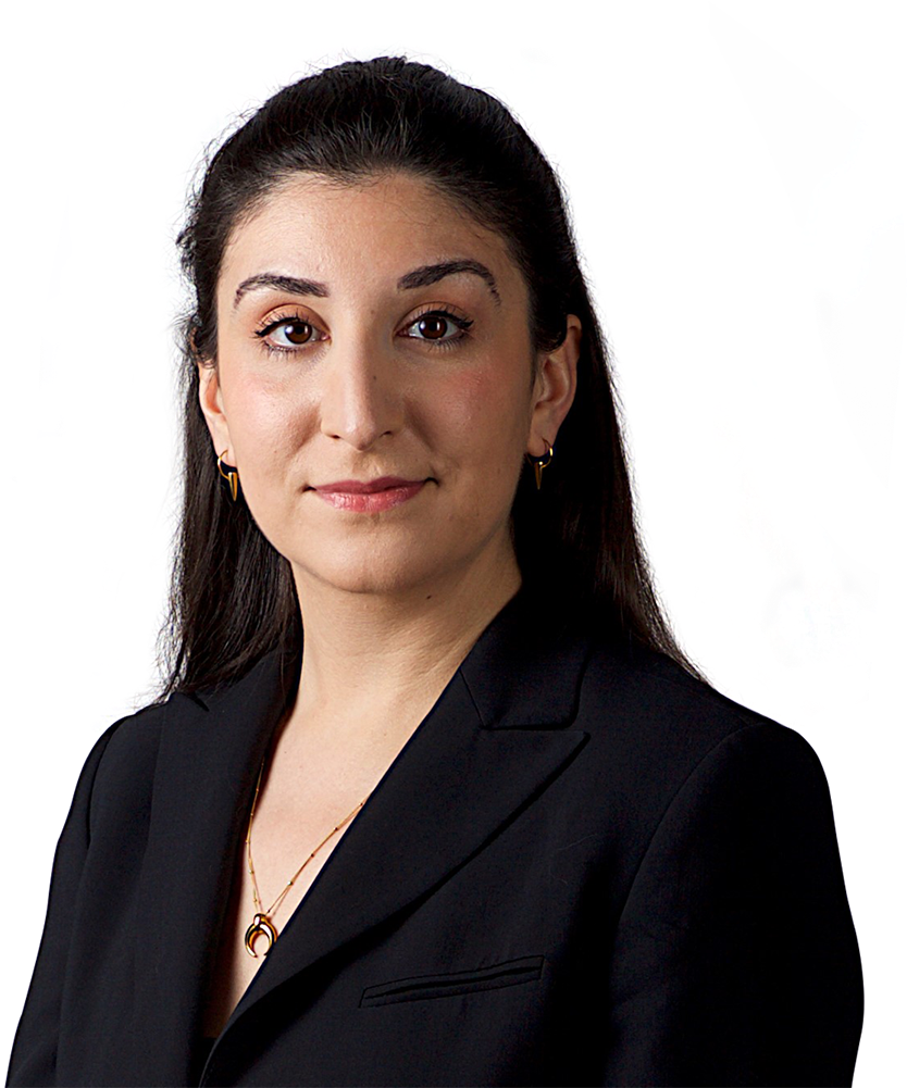 Lilly Alamir - Businessperson (1200x1000), Png Download