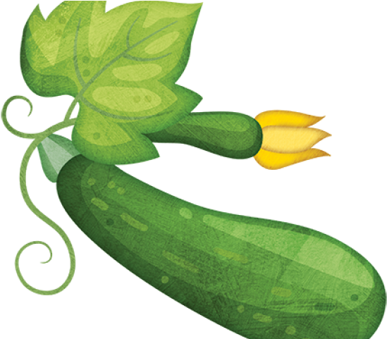 Zucchini Clipart Small - Zucchini (640x480), Png Download