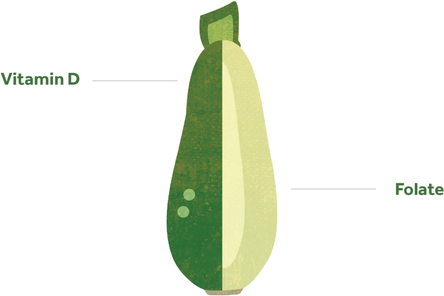 Courgette-01 - Zucchini (1000x1000), Png Download