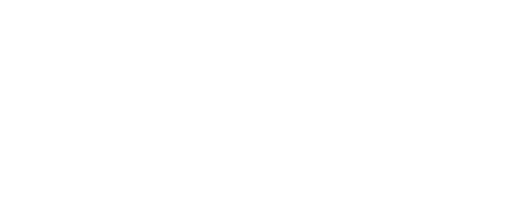 Binder Logo 3 - Twitter White Bird Logo (1000x429), Png Download