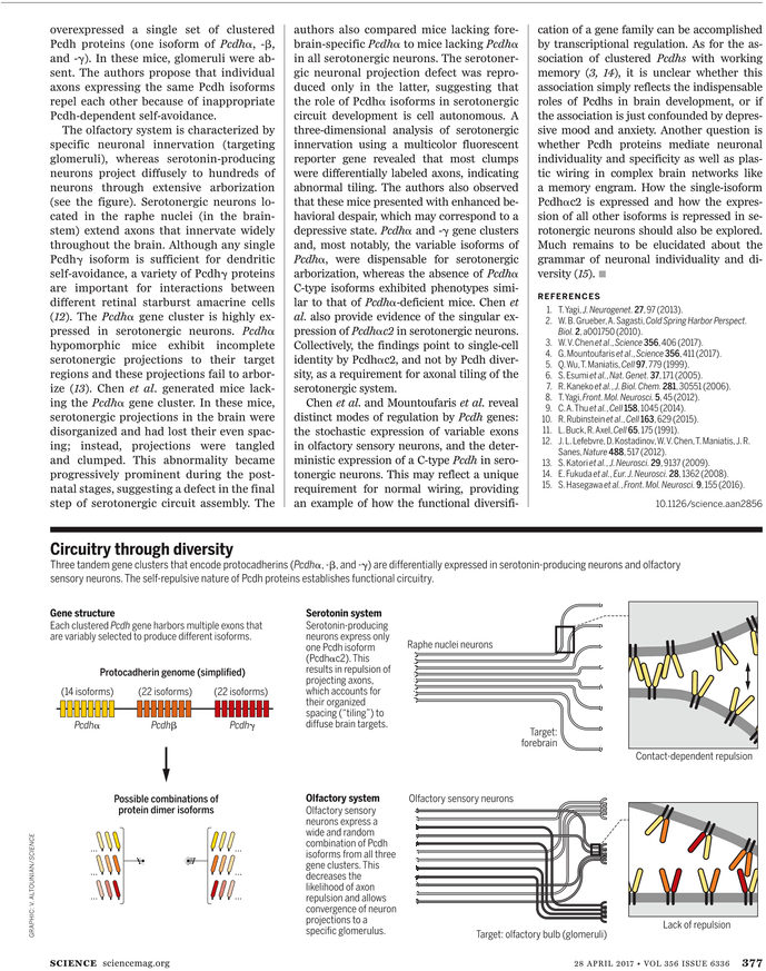 What - Fine Print (729x929), Png Download