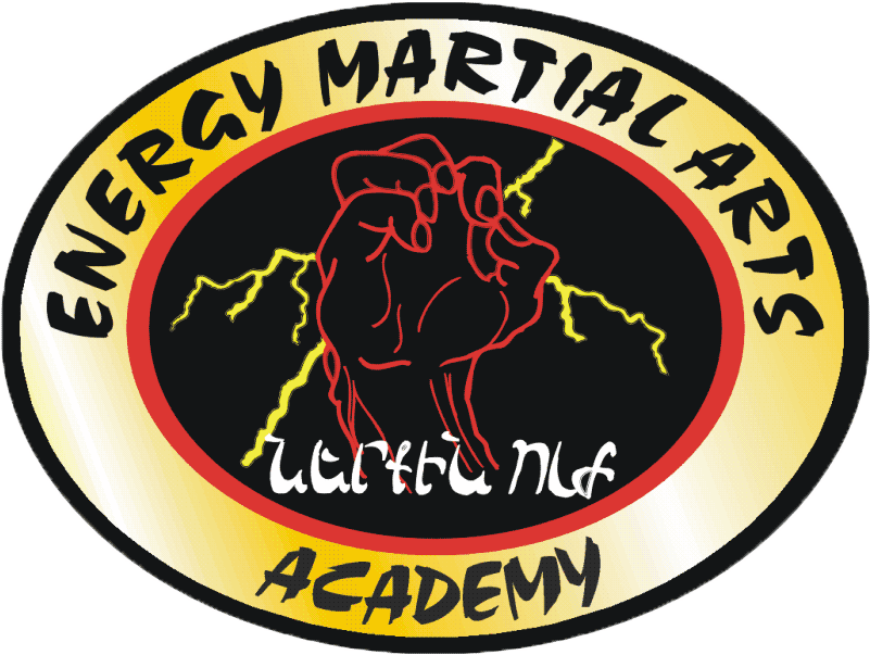 Energy Martial Arts Academy - World Taekwondo Academy (822x616), Png Download