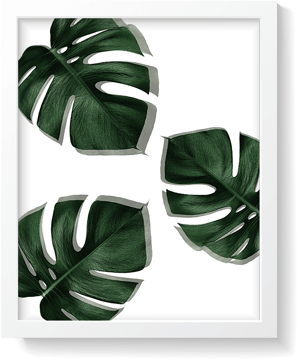 0% Off - Houseplant (1000x1000), Png Download