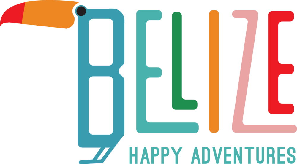 Bha Fullcolor Wordmark (1000x553), Png Download