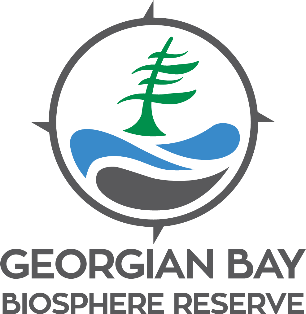 Gbbr Logo Colour Png - Red Nose Day Logo 2011 (1200x1200), Png Download