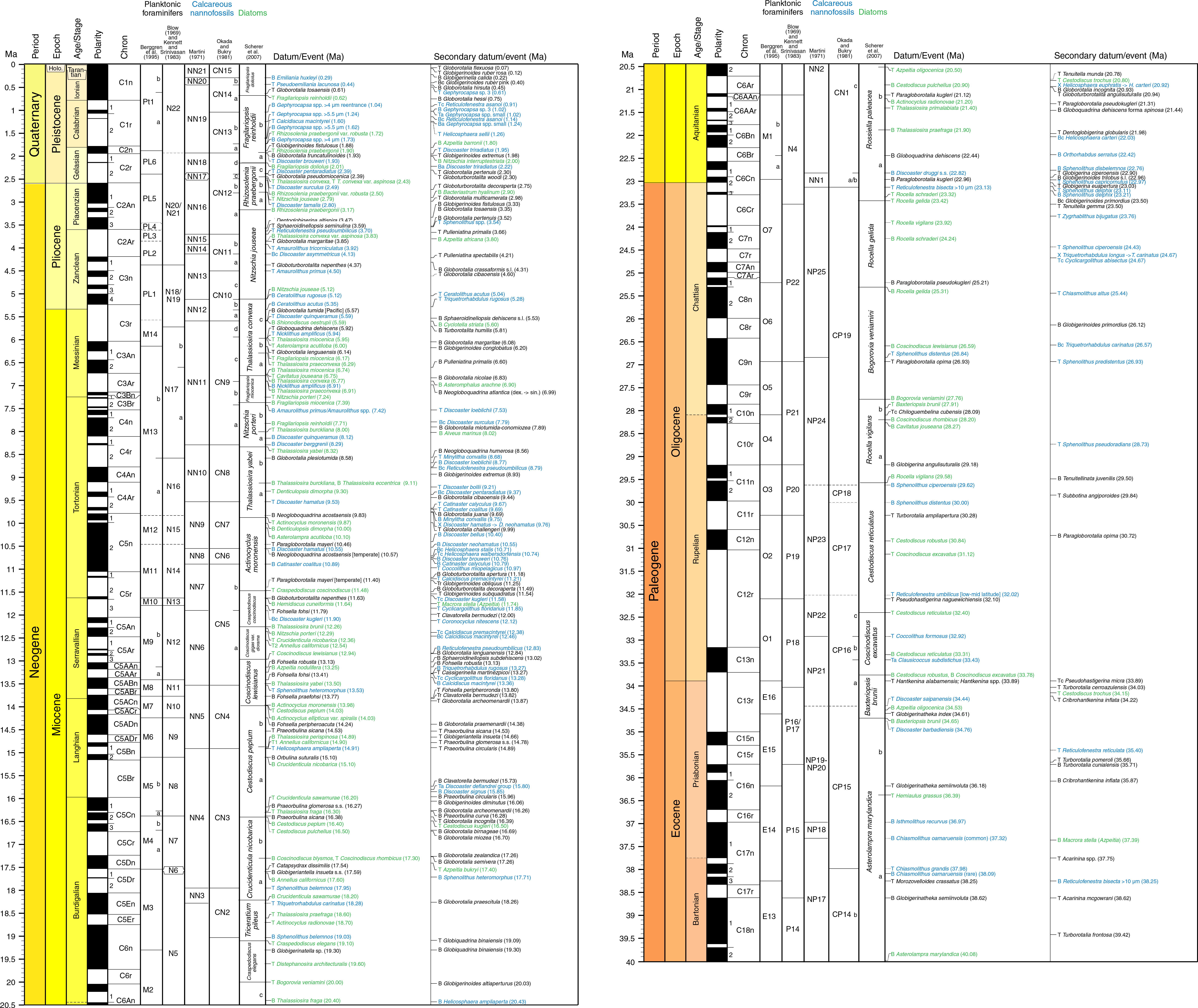 Calcareous Nannofossil, Diatom, And Planktonic Foraminiferal - Document (6450x5441), Png Download