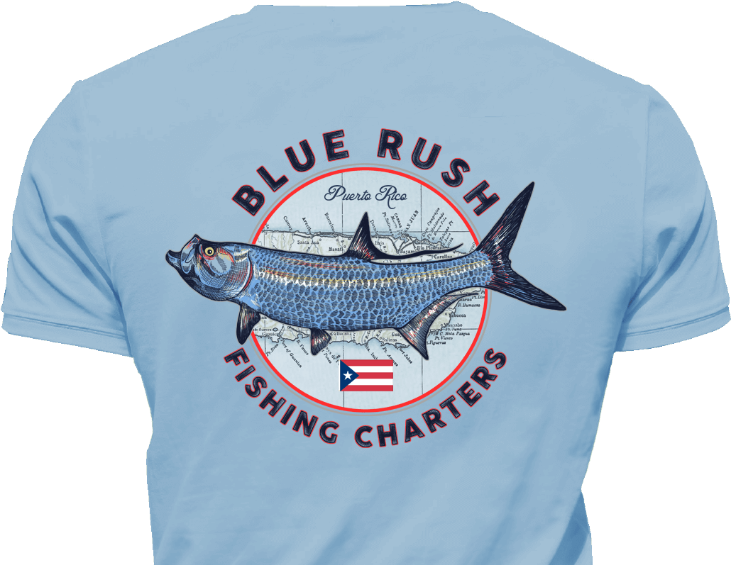 1042 X 938 2 - Marlin (1042x938), Png Download