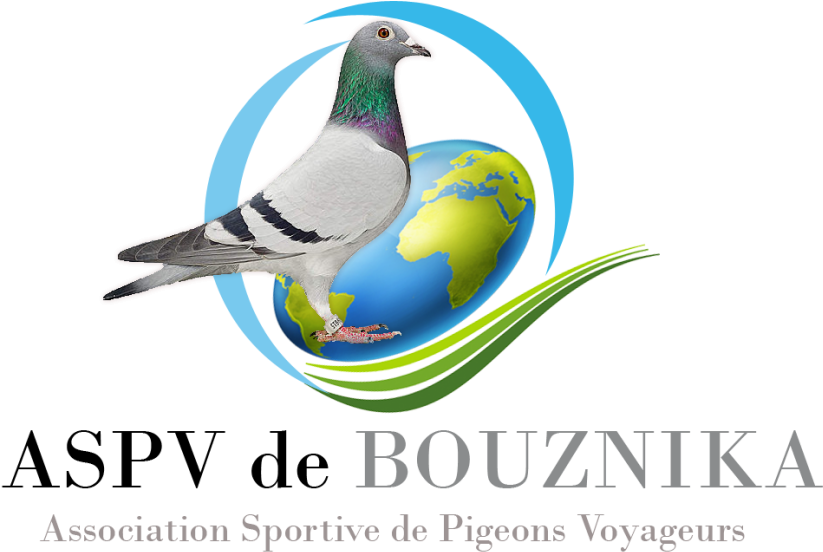 Logo - Graphic Design (1024x1024), Png Download