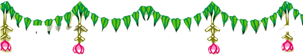 Download Png Images (1024x324), Png Download