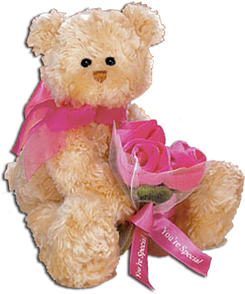 Gund Mother's Day Teddy Bears With Flowers - Mothers Day Flowers Teddy (847x1000), Png Download