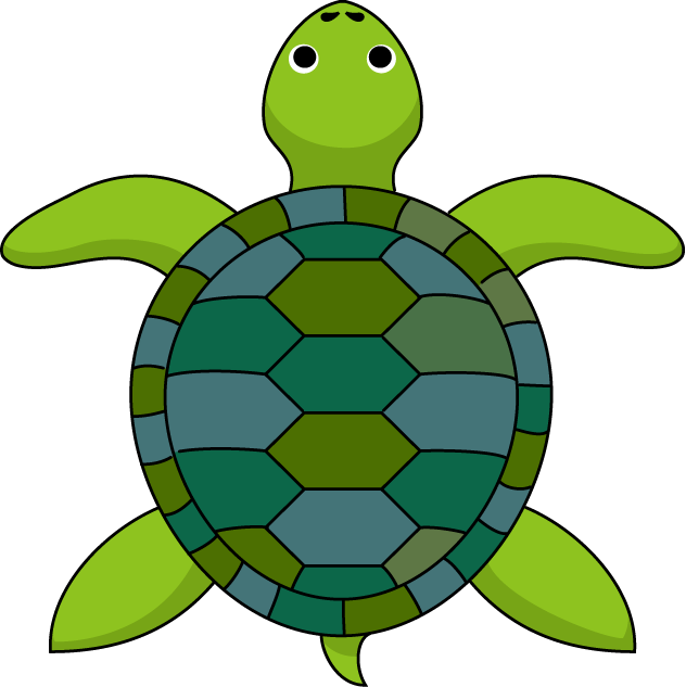 Clip - Tortoise Clipart (632x633), Png Download