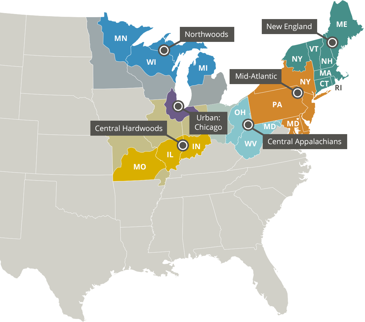 Ecoregional Vulnerability Assessments - Wisconsin Fall Color Map 2017 (1167x1030), Png Download