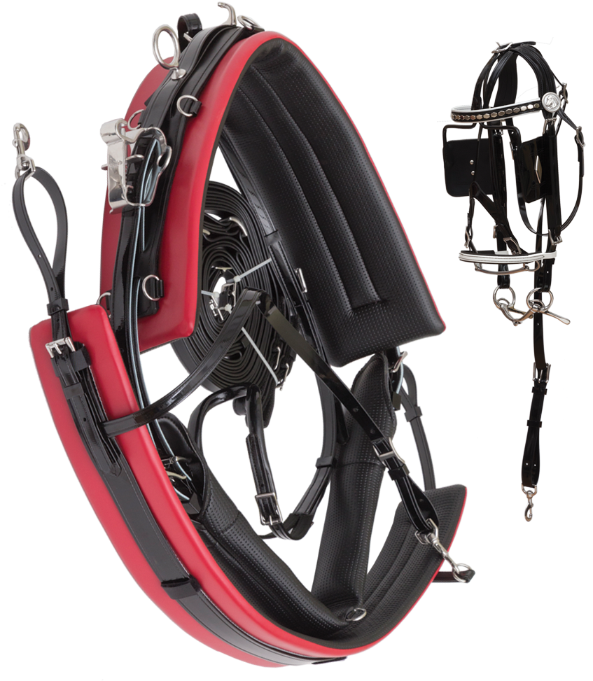 Amish Jogging Harness [6503] - Diving Regulator (1020x1020), Png Download