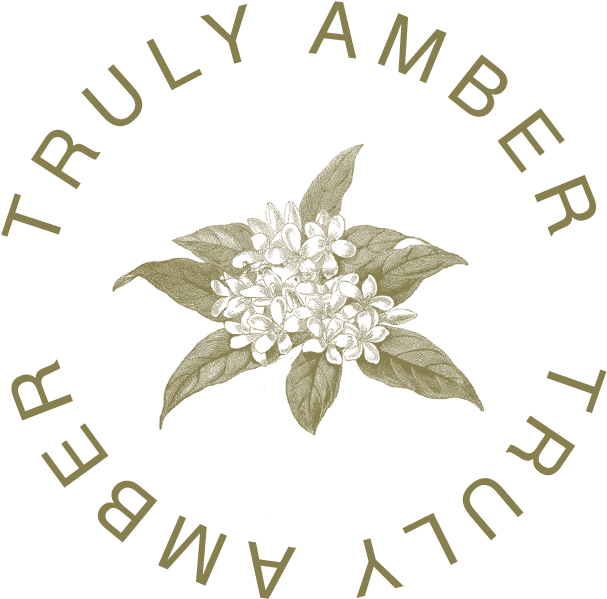 Shay Mitchell Png (666x666), Png Download