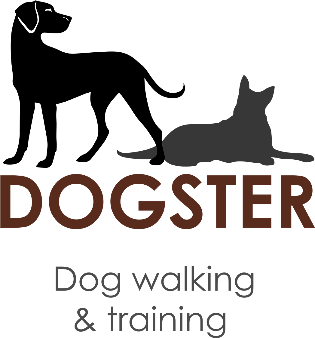 1500 X 1500 3 - Dog Training (1500x1500), Png Download