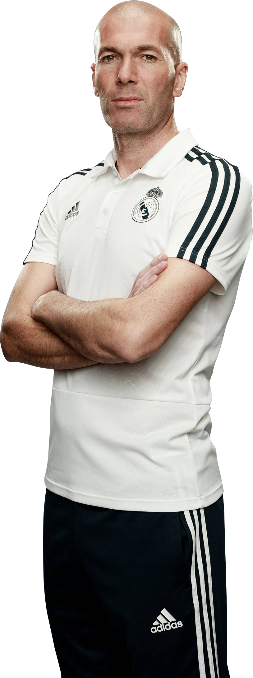 Zinedine Zidane Render (814x2178), Png Download