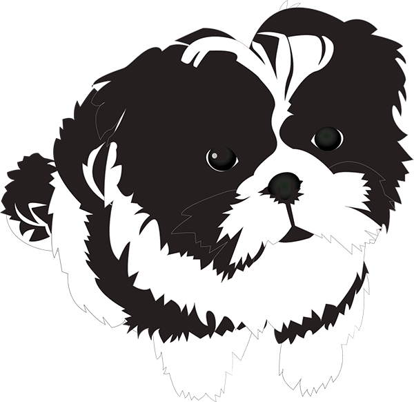 Saíba Tudo Sobre Shih Tzu - Funny Shih Tzu Sticker (600x582), Png Download