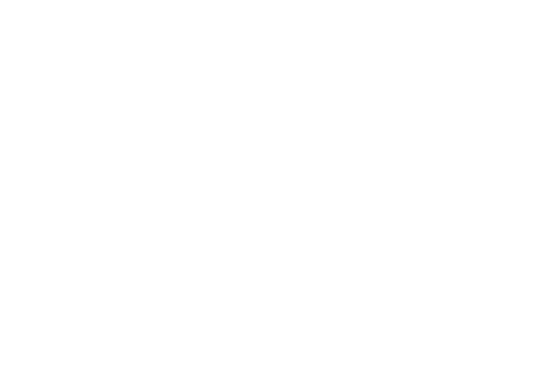 Boss Clinic Logo - Twitter White Bird Logo (800x564), Png Download