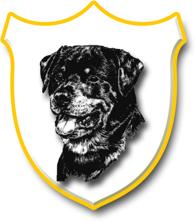 Rottweiler (706x776), Png Download