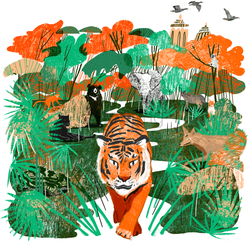 Free Png Download Jungle Book Illustration Png Images - Madhya Pradesh Illustration (850x825), Png Download