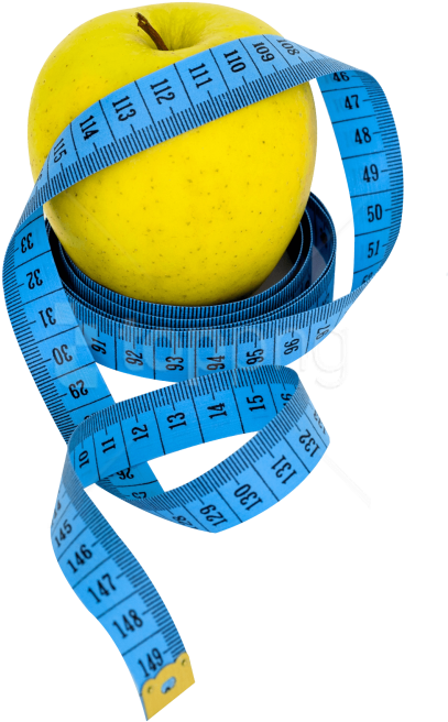 Free Png Apple Measure Tape Png Images Transparent - Transparent Apple And Measuring Tape Png (480x718), Png Download