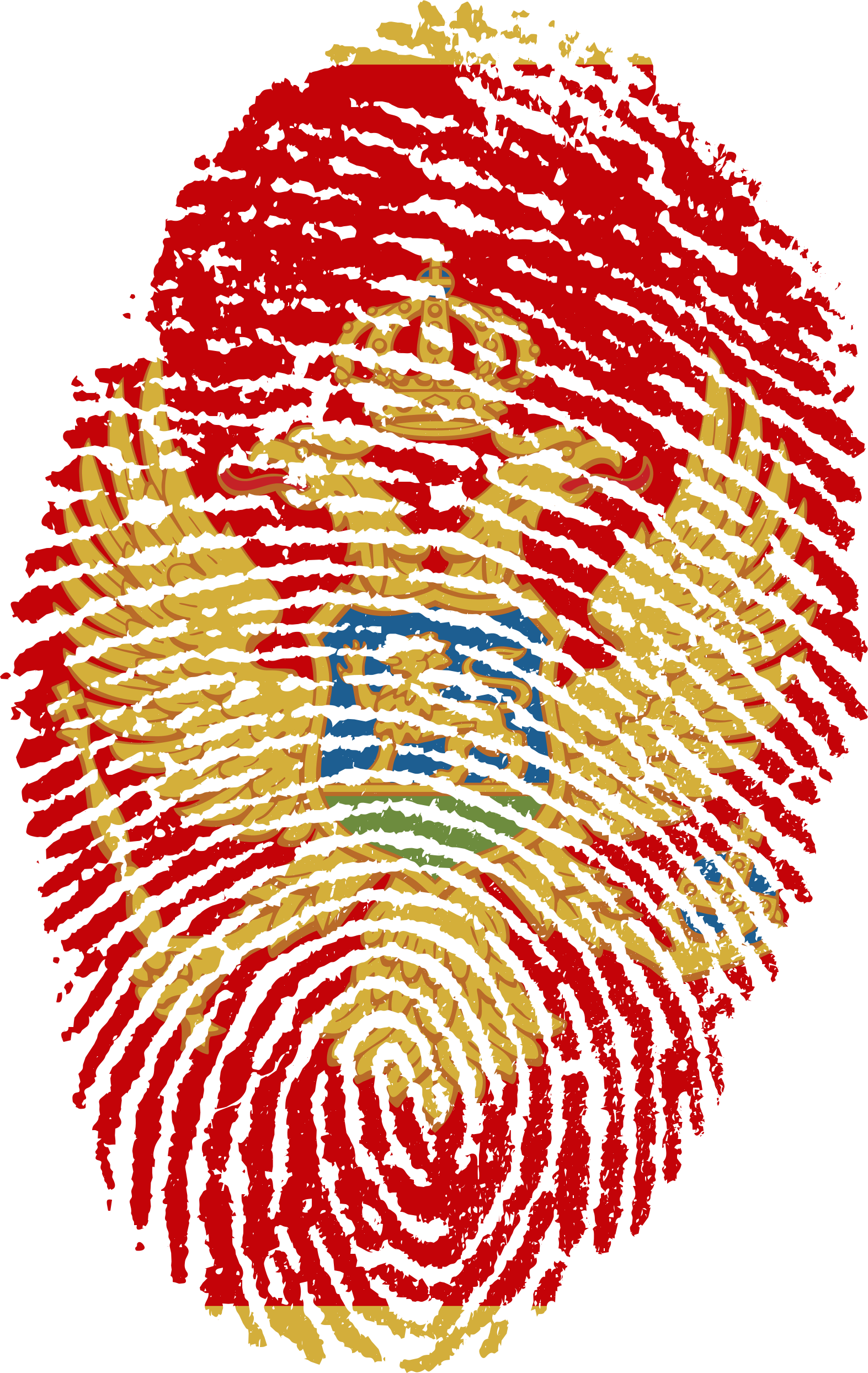 Montenegro Flag Fingerprint Country 662104 - India Citizenship (1573x2488), Png Download