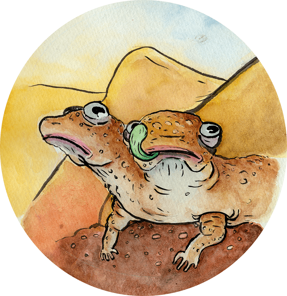 Mad Max - Toad (970x1000), Png Download