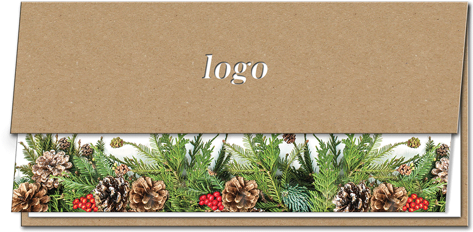 Chrysanths (1020x1020), Png Download