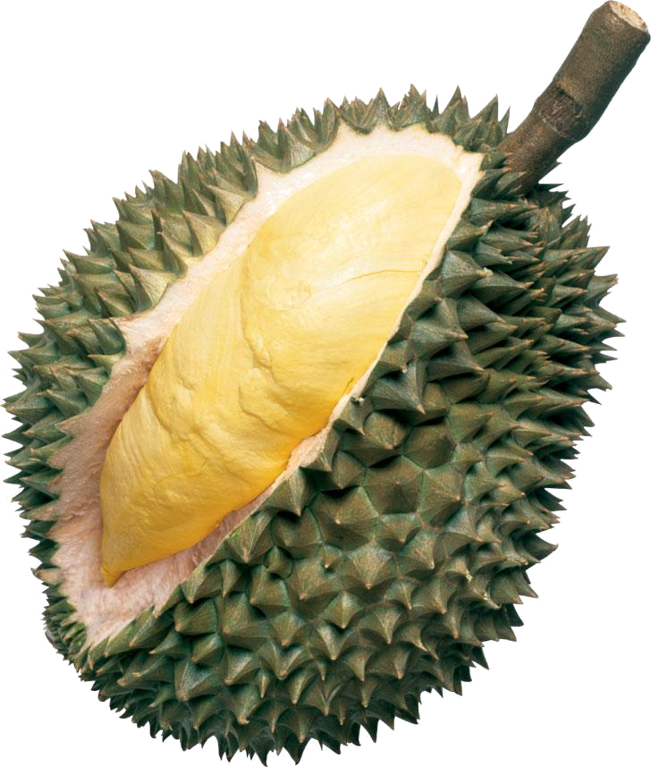 Fruit Banned In Thailand (728x858), Png Download