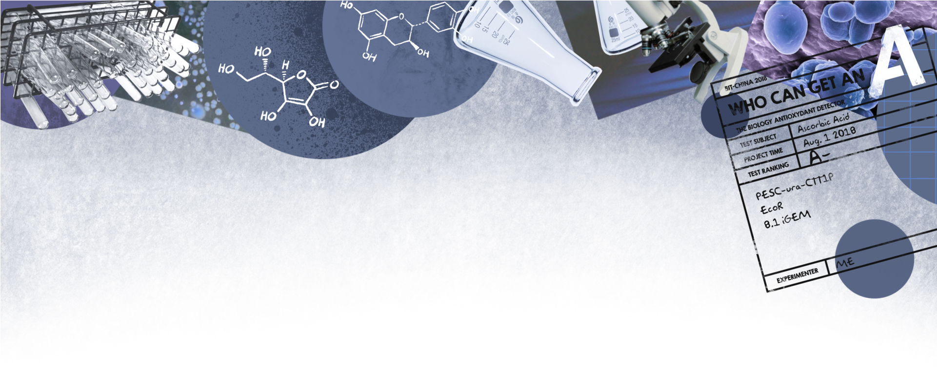 Background - Banknote (1920x1000), Png Download